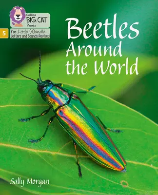 Beetles Around the World - Faza 5 - Beetles Around the World - Phase 5