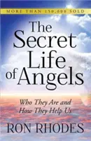 Viața secretă a îngerilor: Cine sunt ei și cum ne ajută - The Secret Life of Angels: Who They Are and How They Help Us