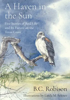 A Haven in the Sun: Cinci povești despre viața păsărilor și viitorul lor pe coasta texană - A Haven in the Sun: Five Stories of Bird Life and Its Future on the Texas Coast
