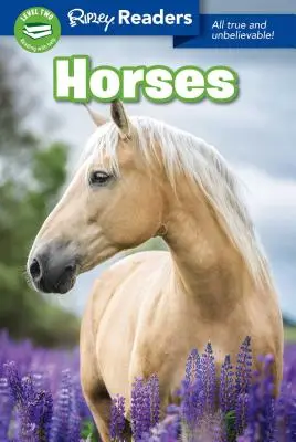 Cai - Horses