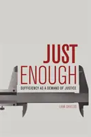 Just Enough: Suficiența ca o cerință a justiției - Just Enough: Sufficiency as a Demand of Justice