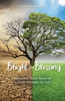 Blight or Blessing: Gestionarea încercărilor tale ca un bun administrator al lui Dumnezeu - Blight or Blessing: Managing Your Trials as a Good Steward of God