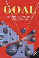 Scopul: un proces de îmbunătățire continuă - The Goal: A Process of Ongoing Improvement