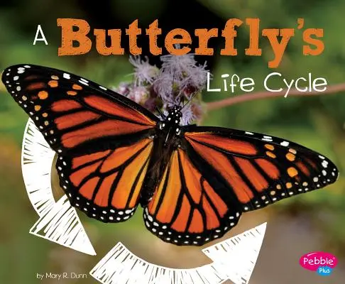 Ciclul de viață al unui fluture - A Butterfly's Life Cycle