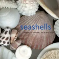 Scoici de mare - Seashells