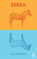 Zebre - Zebra