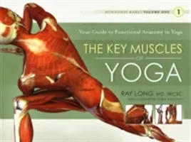 Mușchii cheie ai yoga - The Key Muscles of Yoga