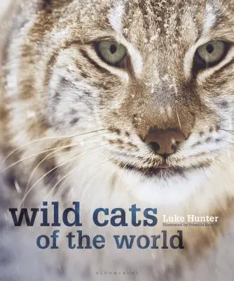 Pisici sălbatice din lume - Wild Cats of the World