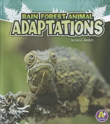Adaptarea animalelor din pădurea tropicală - Rain Forest Animal Adaptations