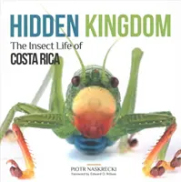 Regatul ascuns: Viața insectelor din Costa Rica - Hidden Kingdom: The Insect Life of Costa Rica