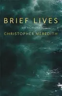 Vieți scurte - Brief Lives
