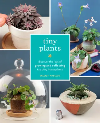 Tiny Plants: Descoperiți bucuriile cultivării și colecționării plantelor de apartament mici-mici - Tiny Plants: Discover the Joys of Growing and Collecting Itty-Bitty Houseplants
