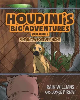 Marile aventuri ale lui Houdini: În căutarea unei case pentru totdeauna - Houdini's Big Adventures: Finding a Forever Home