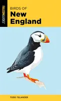 Păsări din Noua Anglie - Birds of New England