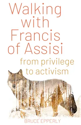 Mergând cu Francisc de Assisi: De la privilegii la activism - Walking with Francis of Assisi: From Privilege to Activism