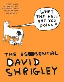 Ce naiba faci? The Essential David Shrigley - What The Hell Are You Doing?: The Essential David Shrigley