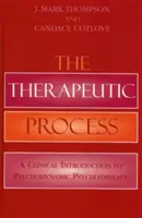 Procesul terapeutic: O introducere clinică în psihoterapia psihodinamică - The Therapeutic Process: A Clinical Introduction to Psychodynamic Psychotherapy