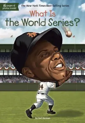 Ce este World Series? - What Is the World Series?