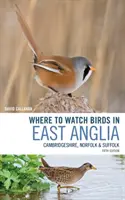 Unde să urmăriți păsările în East Anglia: Cambridgeshire, Norfolk și Suffolk - Where to Watch Birds in East Anglia: Cambridgeshire, Norfolk and Suffolk