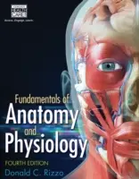 Fundamente de anatomie și fiziologie - Fundamentals of Anatomy and Physiology