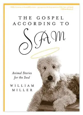 Evanghelia după Sam: Povești cu animale pentru suflet - The Gospel According to Sam: Animal Stories for the Soul