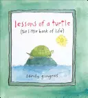 Lecțiile unei broaște țestoase: (Mica carte a vieții) - Lessons of a Turtle: (The Little Book of Life)