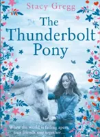 Poneiul Thunderbolt - The Thunderbolt Pony