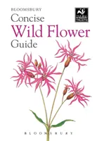 Ghid concis al florilor sălbatice - Concise Wild Flower Guide