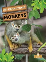 Maimuțe - Monkeys