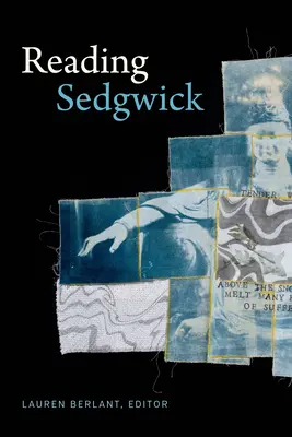 Lectura lui Sedgwick - Reading Sedgwick