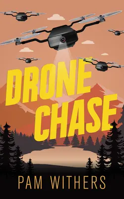 Urmărirea dronelor - Drone Chase