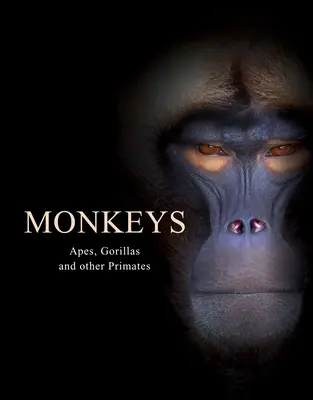 Maimuțe: Maimuțe, gorile și alte primate - Monkeys: Apes, Gorillas and Other Primates