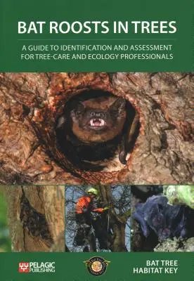 Cocoașe de lilieci în copaci: Ghid de Identificare - Bat Roosts Trees: Guide Identification