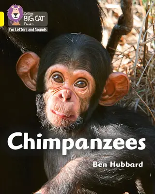 Cimpanzeii - banda 03/galben - Chimpanzees - Band 03/Yellow