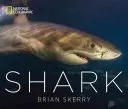 Rechinul - Shark