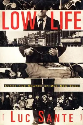 Low Life: Momeala și capcanele vechiului New York - Low Life: Lures and Snares of Old New York
