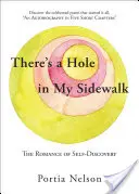 Există o gaură în trotuarul meu: Romantismul descoperirii de sine - There's a Hole in My Sidewalk: The Romance of Self-Discovery