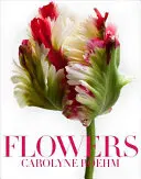 Flori - Flowers