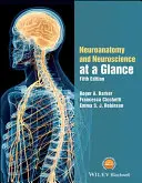 Neuroanatomie și neuroștiințe la o privire de ansamblu - Neuroanatomy and Neuroscience at a Glance