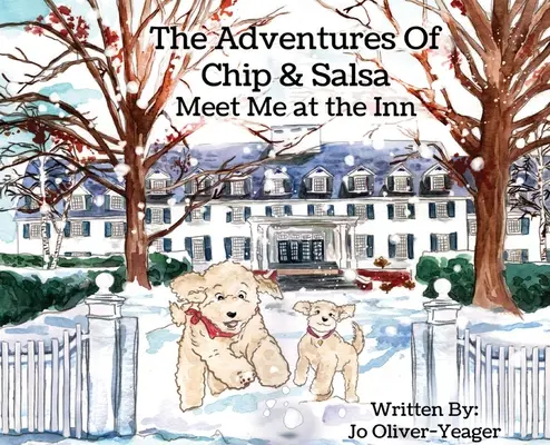Aventurile lui Chip și Salsa: Ne întâlnim la han (Meet Me at the Inn) - The Adventures of Chip and Salsa: Meet Me at the Inn