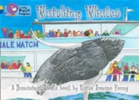 Observarea balenelor - Watching Whales
