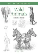 Animale sălbatice - Wild Animals