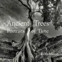 Copaci străvechi: Portrete ale timpului - Ancient Trees: Portraits of Time