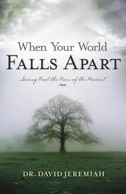 Când lumea ta se prăbușește: Vezi dincolo de durerea din prezent - When Your World Falls Apart: See Past the Pain of the Present