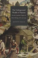 Bogăția subterană a națiunilor: Despre originile capitaliste ale mineritului de argint, 1150-1450 d.Hr. - The Underground Wealth of Nations: On the Capitalist Origins of Silver Mining, A.D. 1150-1450
