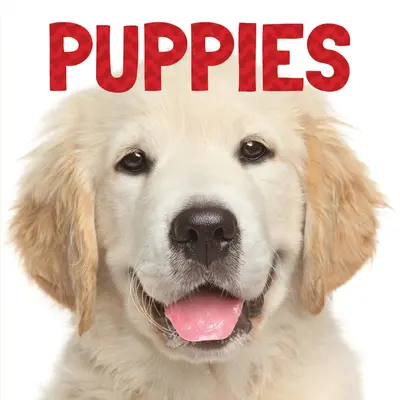 Căței - Puppies