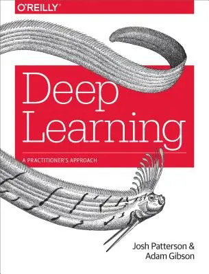 Învățarea profundă: A Practitioner's Approach - Deep Learning: A Practitioner's Approach