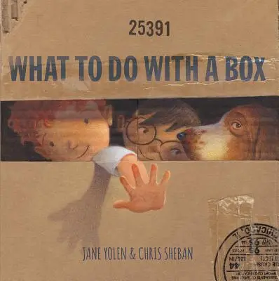 Ce să faci cu o cutie - What to Do with a Box
