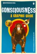 Introducing Consciousness: Un ghid grafic - Introducing Consciousness: A Graphic Guide