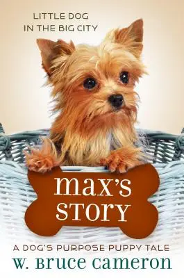 Povestea lui Max: Povestea unui cățeluș - Max's Story: A Puppy Tale